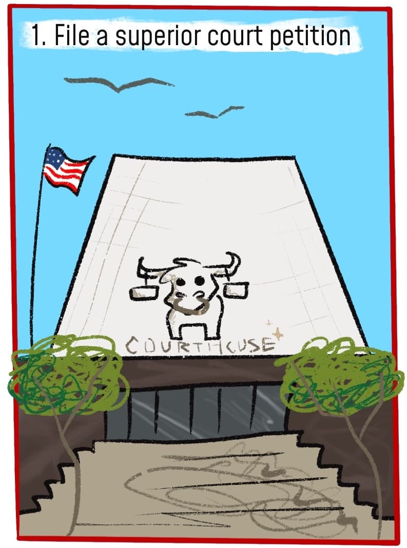 Why I Changed My Name at Age 79